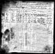 1910 18 January David Rose passenger list on arrival in New York