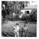 1965 Basil Rose's sons